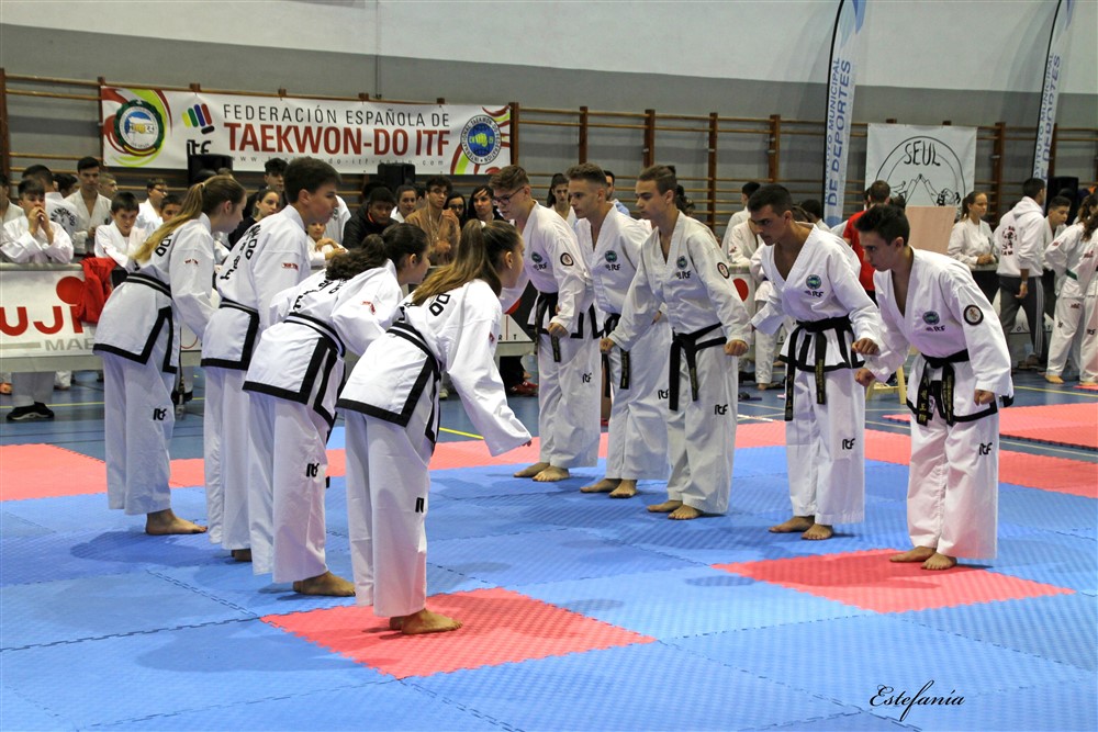 Copa Seul 2018 (301).jpg